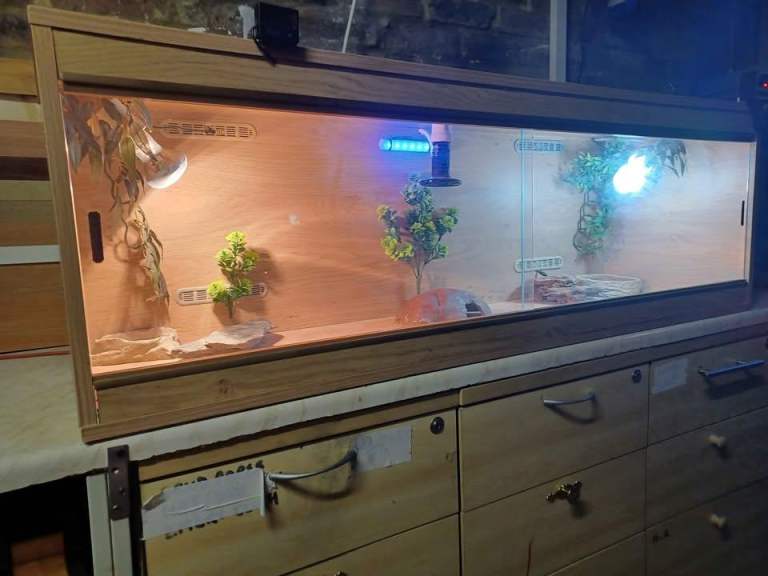 Vivarium LARGE 4 foot with electrics
