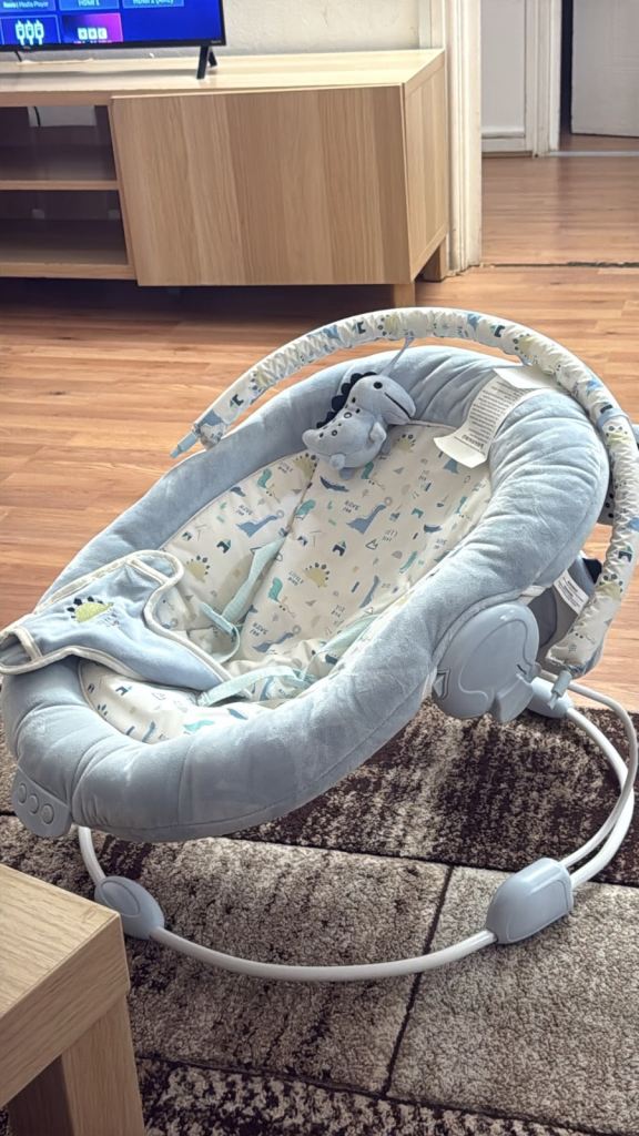 Baby Bouncer/Rocker with Dinosaur Print – As Good As New