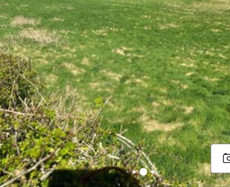 Small plot of land wanted 