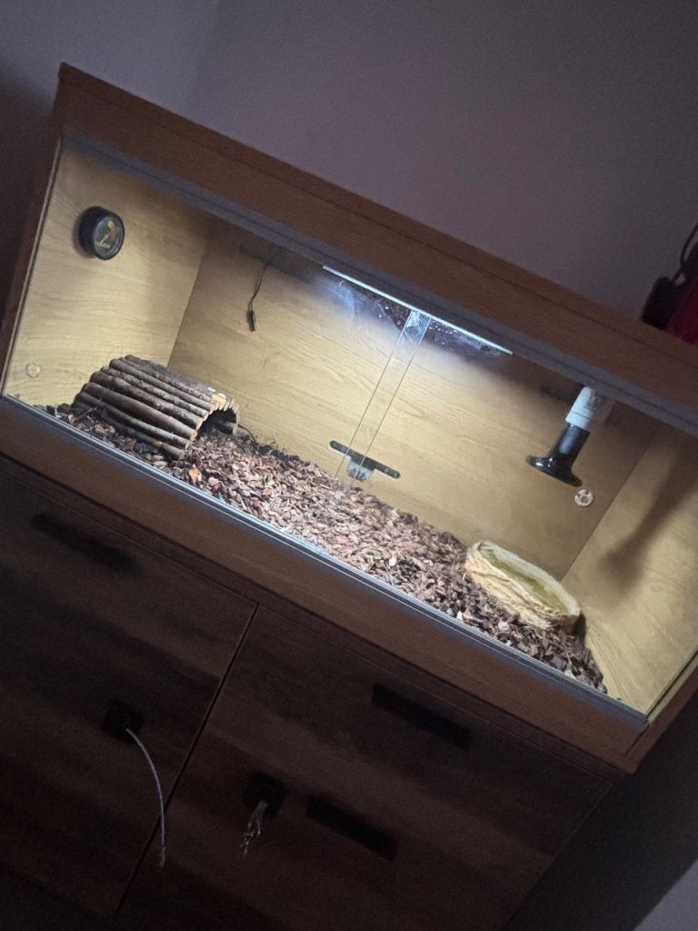 3ft vivarium 