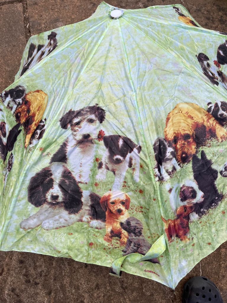 PUPPY DOG UMBRELLA BY GIORDANO