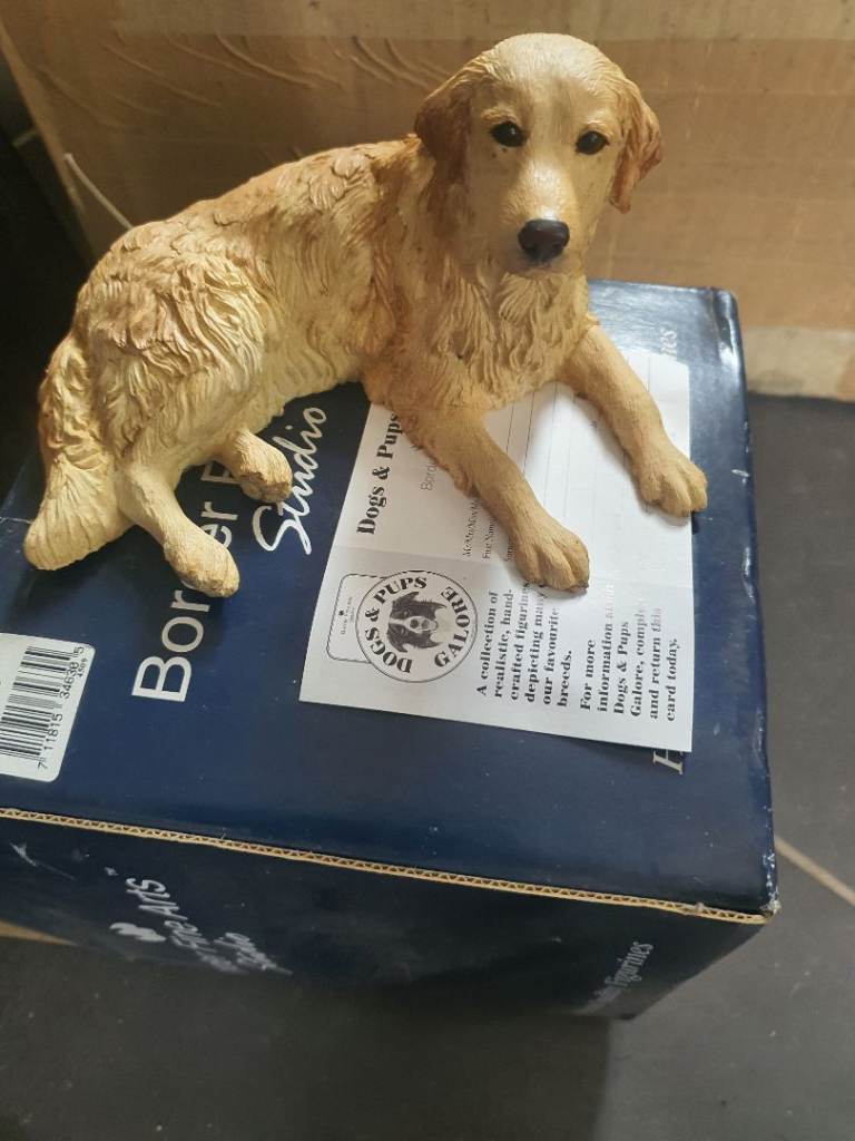 Border Art Golden Labrador ( lying )