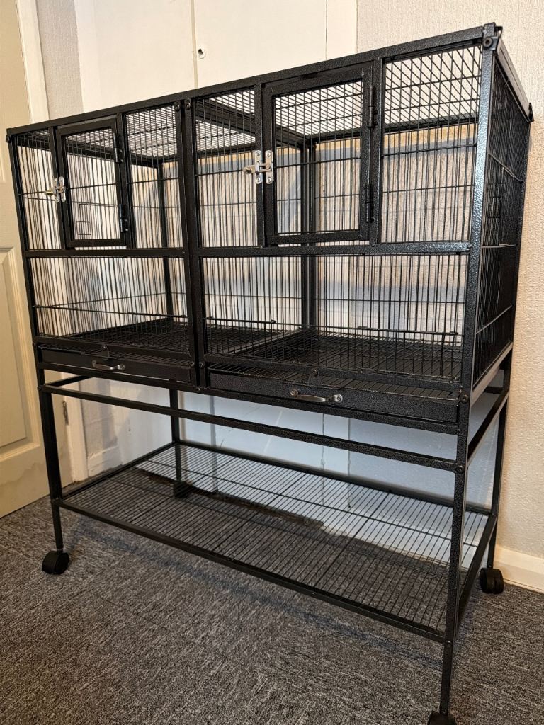 Bird cage 