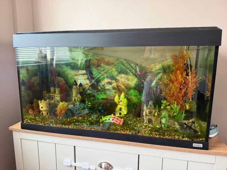 Aquariums fish tank 