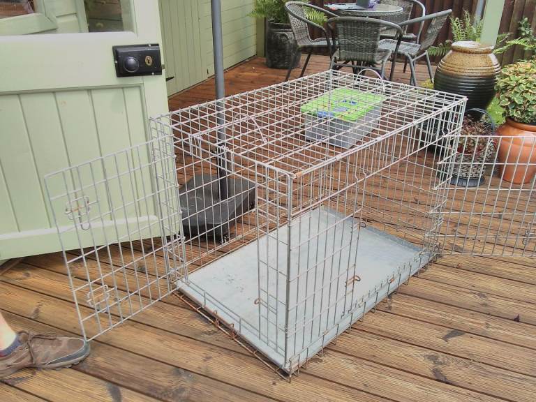 Dog crate