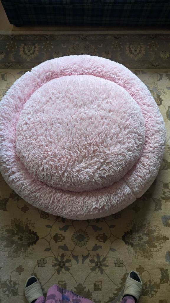 XL DOG BED