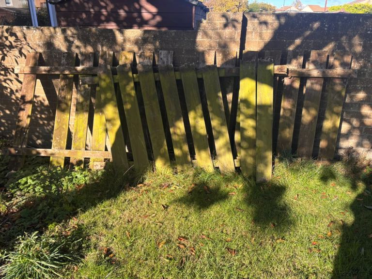 FREE old wooden fence and Pallet