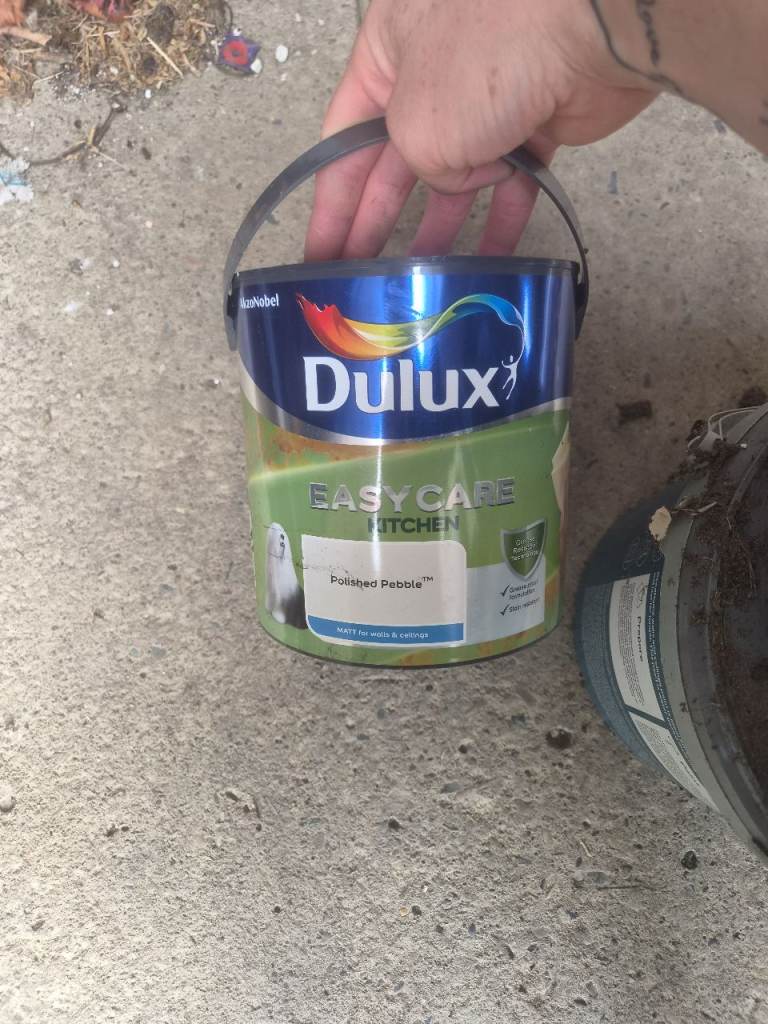 Dulux paint