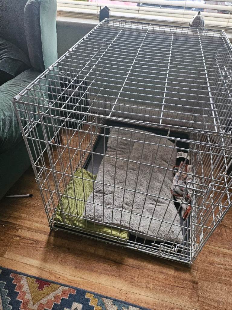 Grey dog cage 