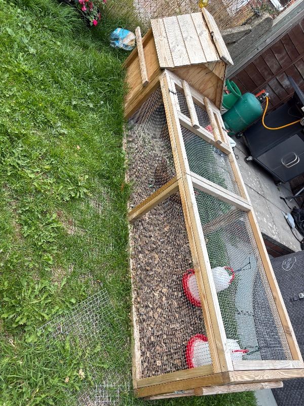 Chicken coop & run 