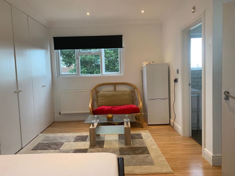 Spacious Studio Flat in Norbury/Norwood