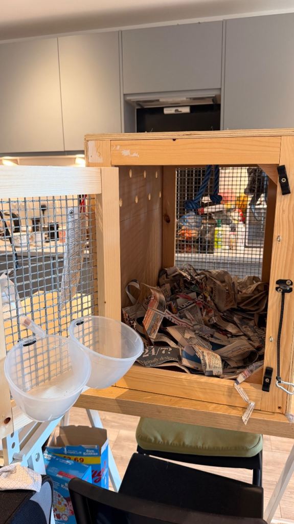 IATA-Approved Wooden Pet Travel Crate (Cat/Small Animal) – Used Once