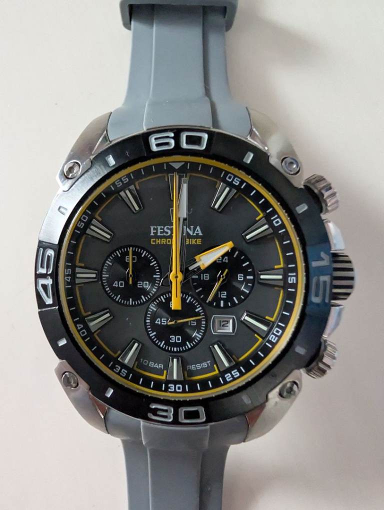 Festina Watch