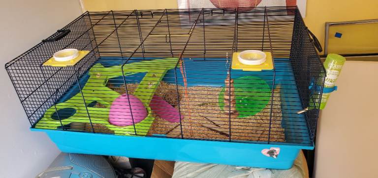 Hamster cage with accessories. 