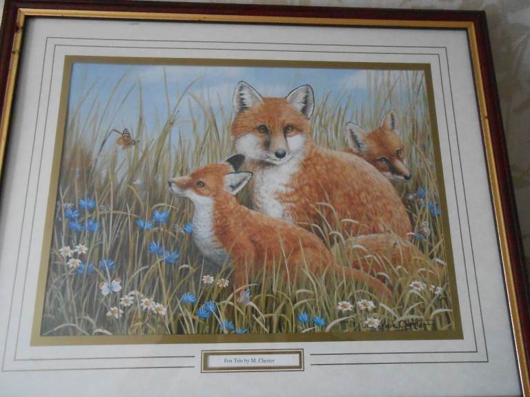 Fox Family framed Print - - £5 - - -