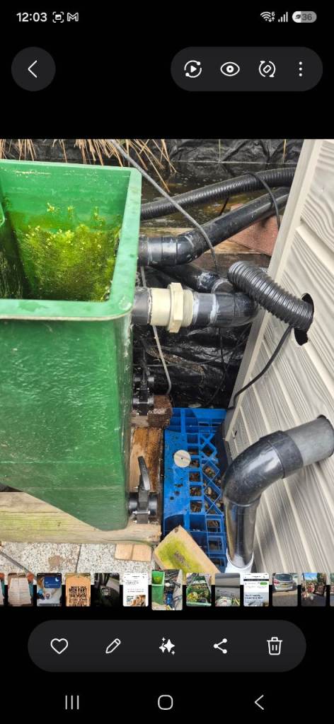 Kockney koi filter