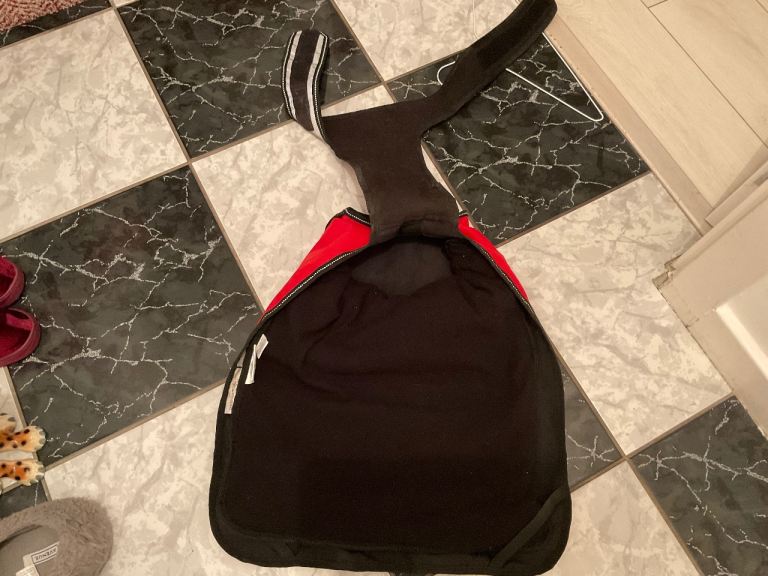 DOG HARNESS AND JACKET