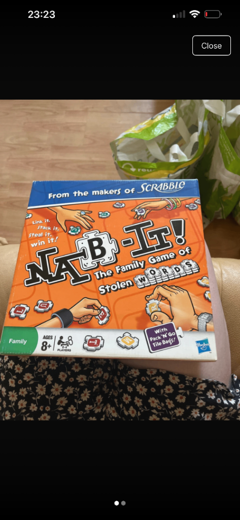 NAB-IT! The Family Game of Stolen Words