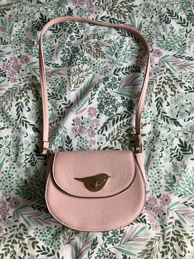 Blush Pink Bag
