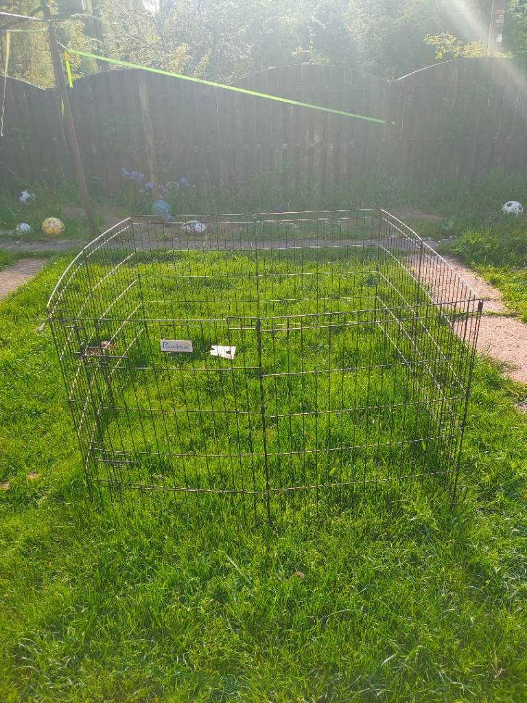 Dog Pen