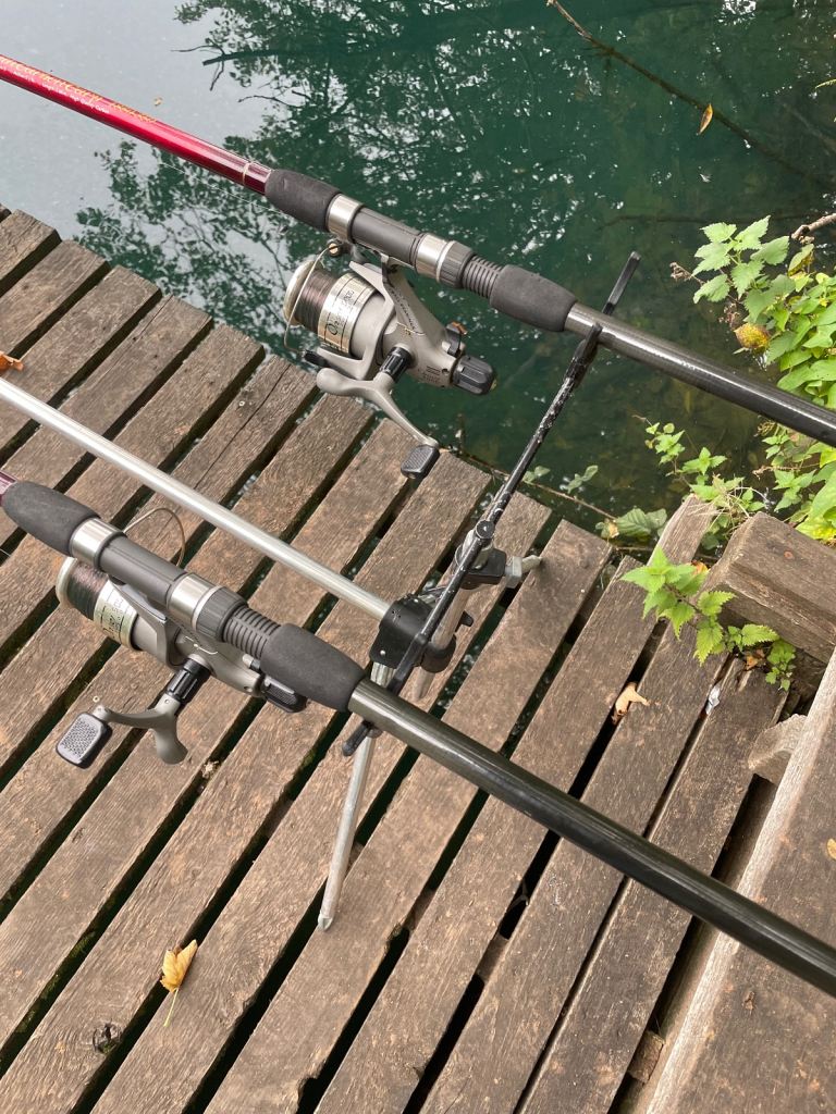 Shakespeare zenith carp rods and reels