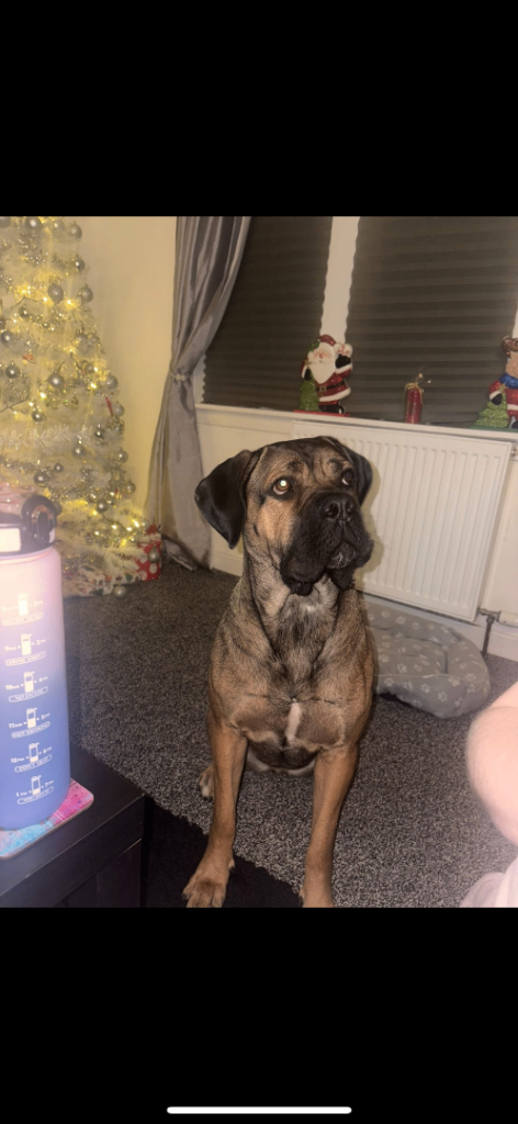 Looking for her forever home