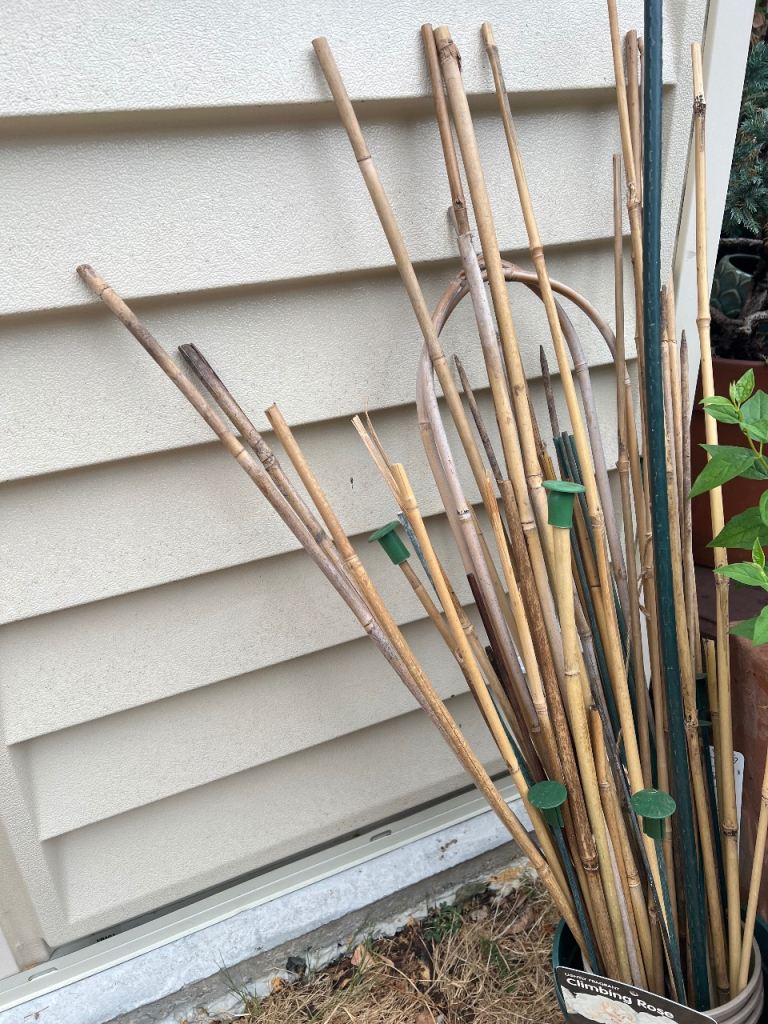 Used Bamboo Canes for Garden Support – Good Condition