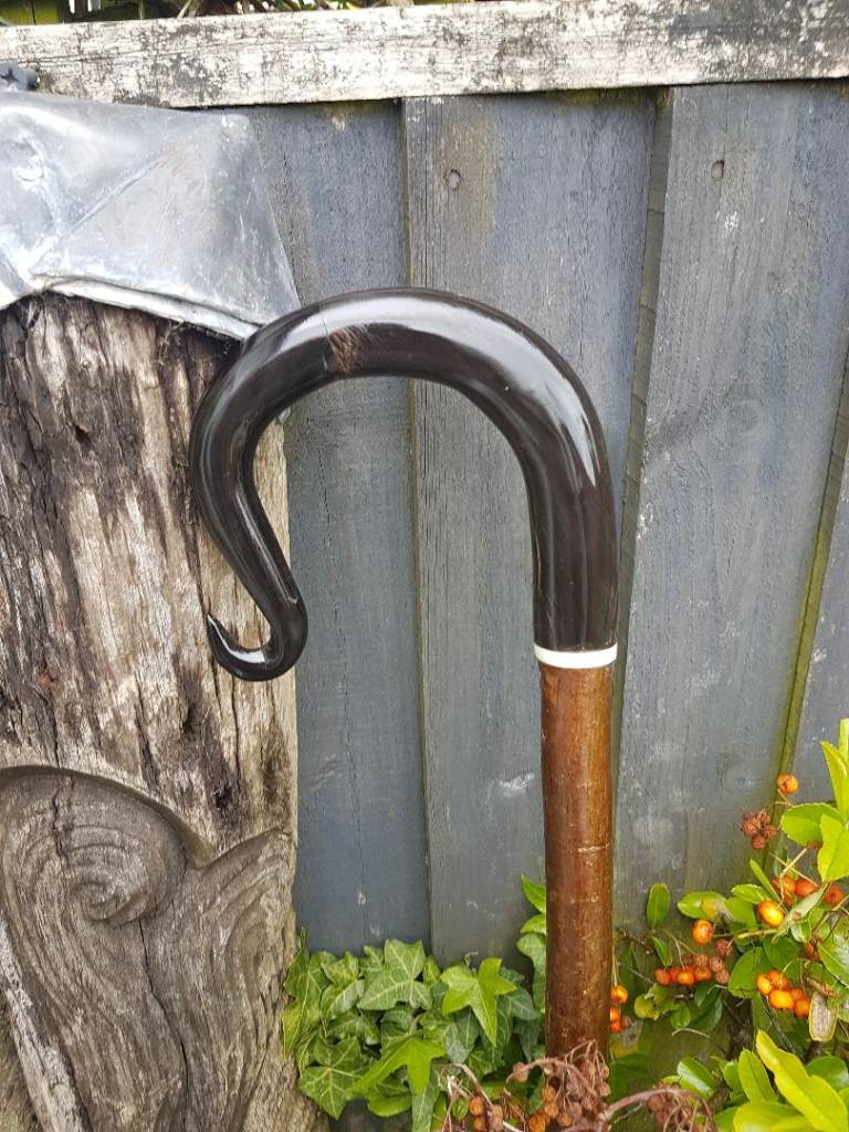 Sheperds crook