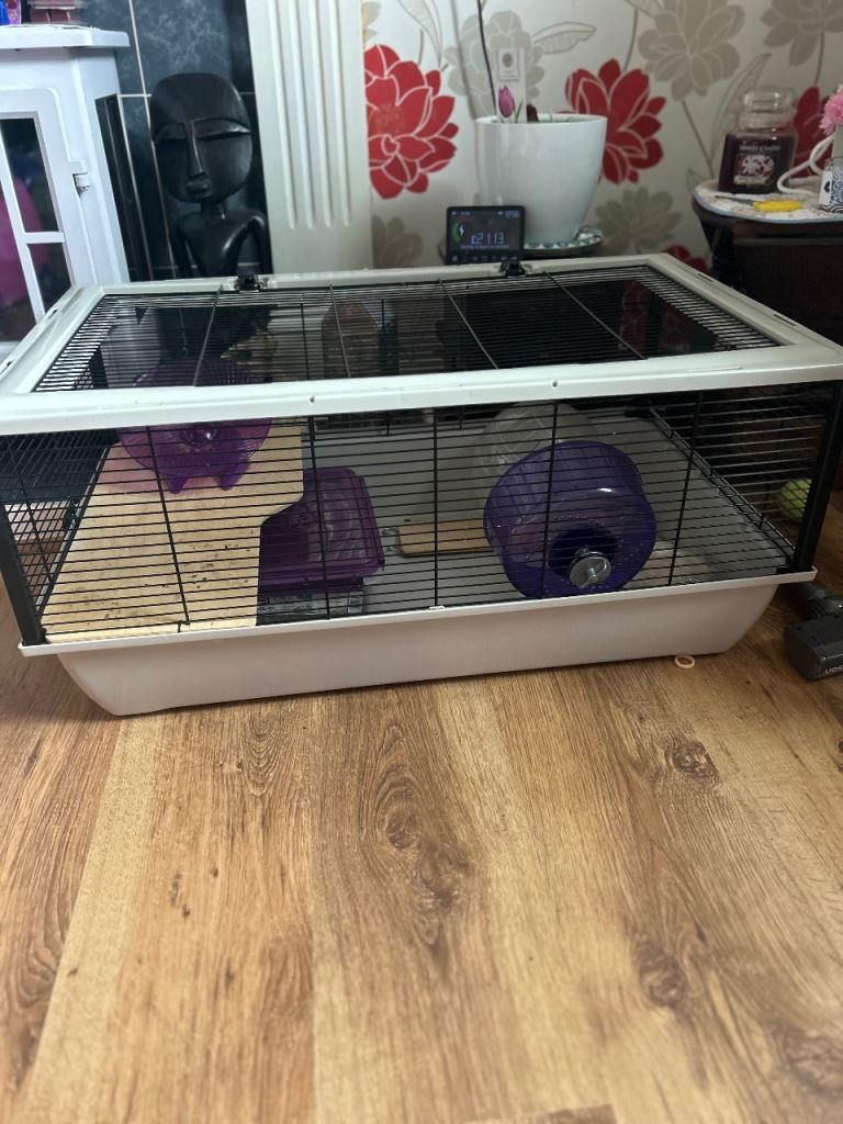 Hamster cage