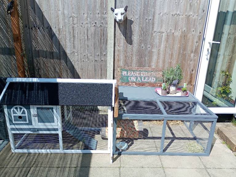 Rabbit hutch with Penn 