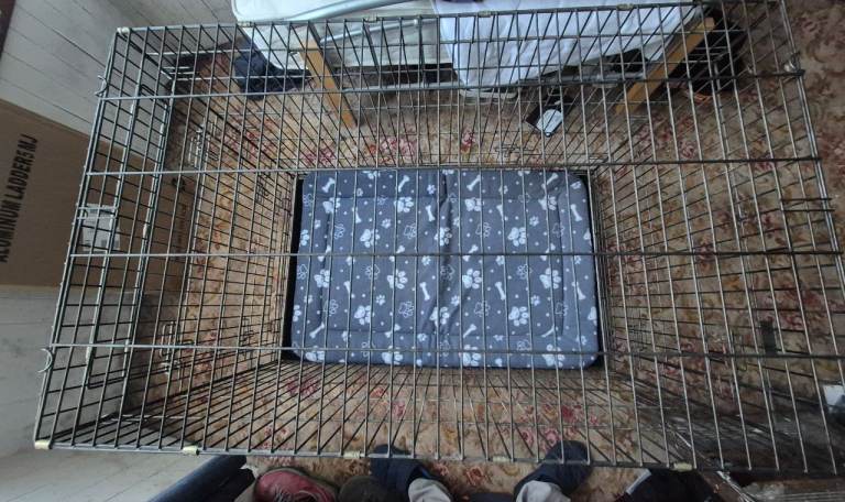 Dog Health XL Dog Crate plus Bedding.