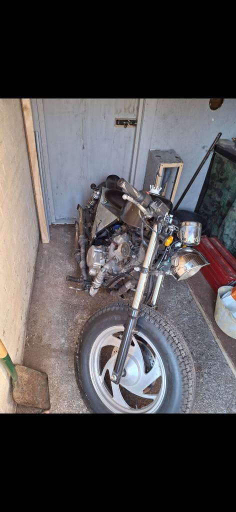 Pioneer, TORRO, 2011, 124 (cc)