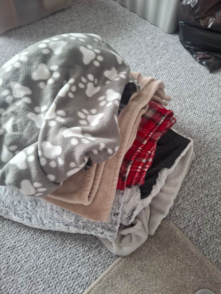 Dog blankets 