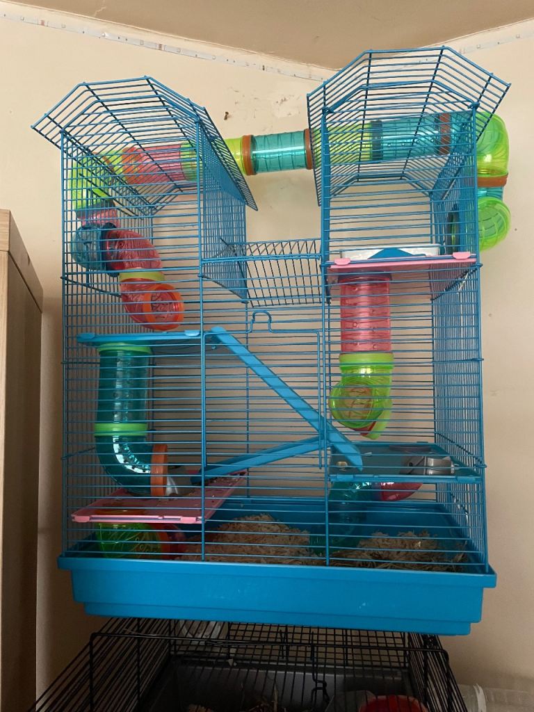 Hamster cage