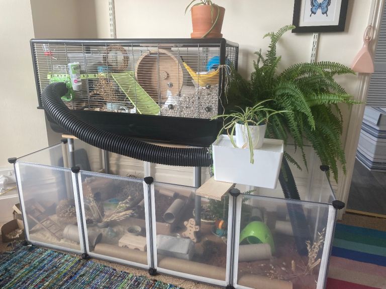 Hamster cage and lots of accessories 