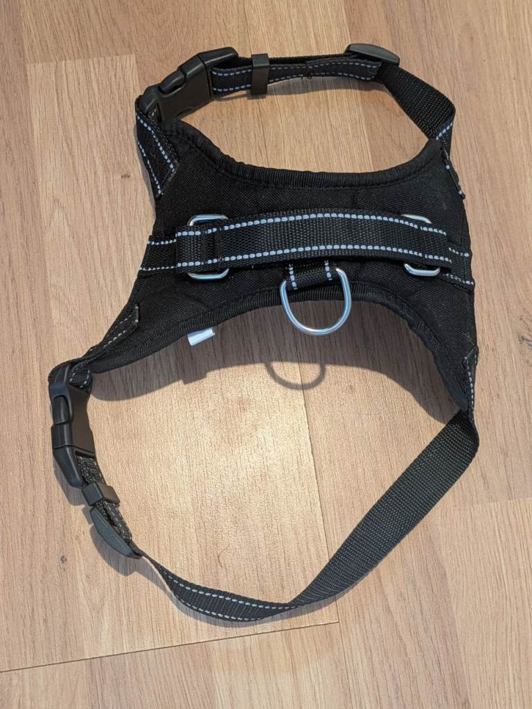 Dog harness Medium