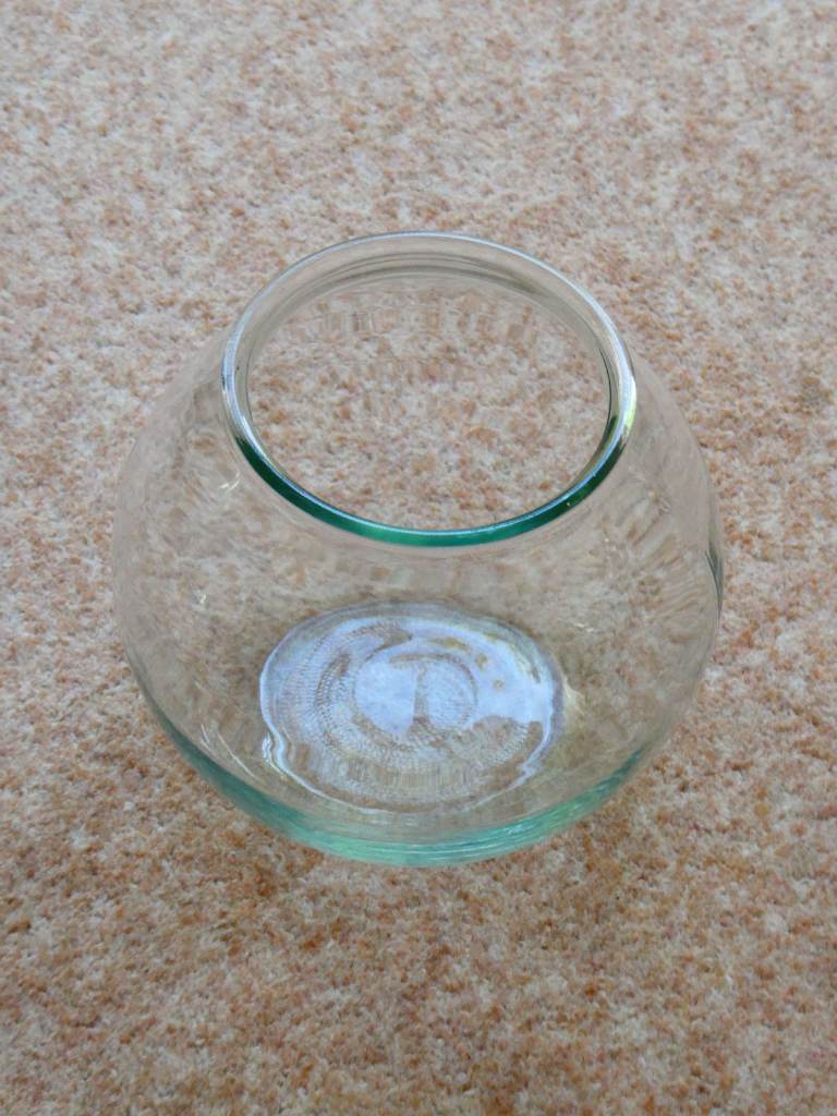Eight inch (approximately) glass goldfish bowl.