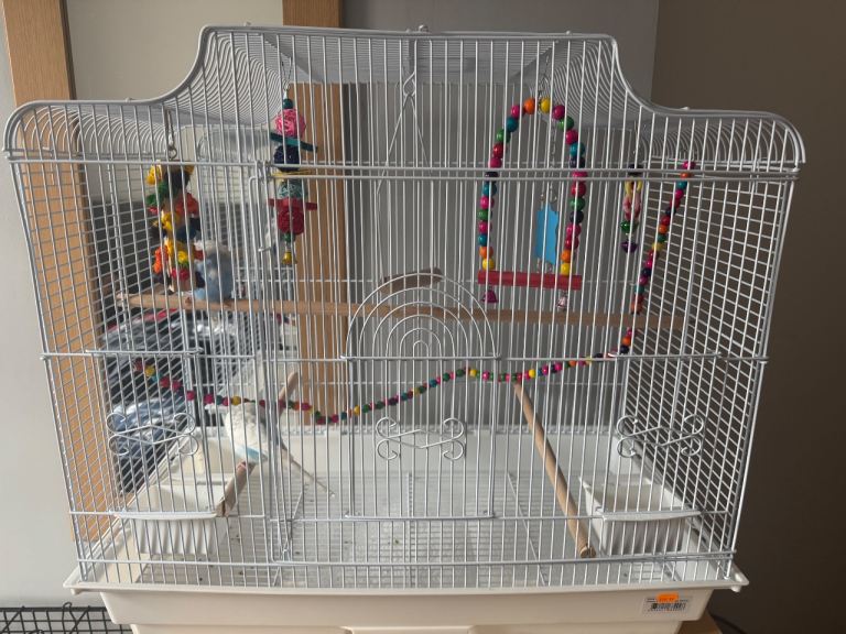 bird cage 
