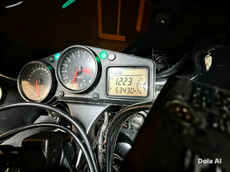 Kawasaki, Ninja ZX 12, 2001, 1199 (cc)