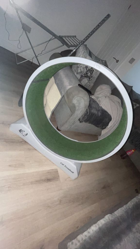 Cat treadmill + scratcher 