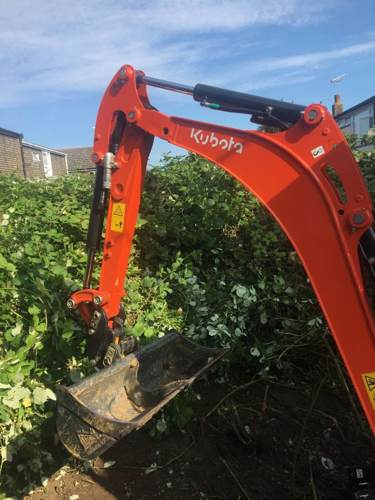 Brambles removed 