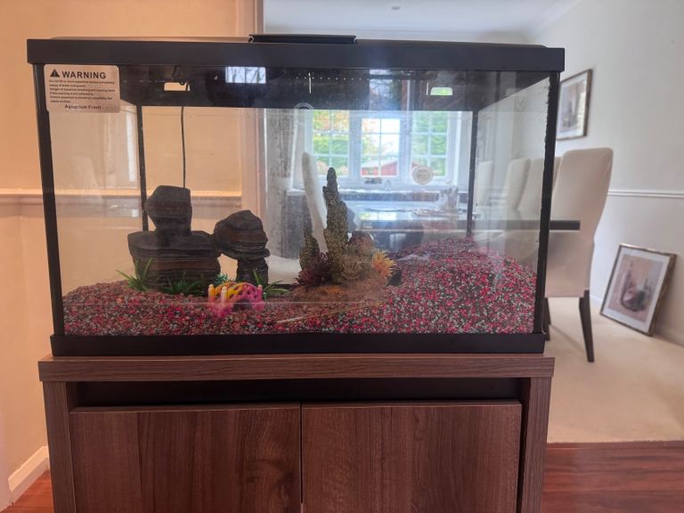 Fish tank and cabinet stand 