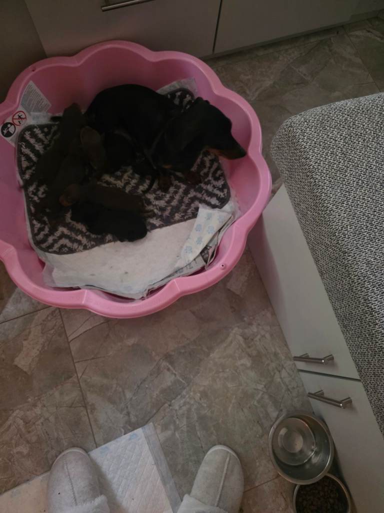 Little birthing pool