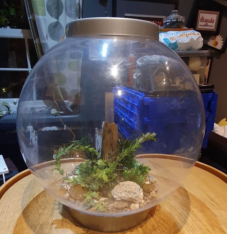 biorb classic 60 litre aquarium