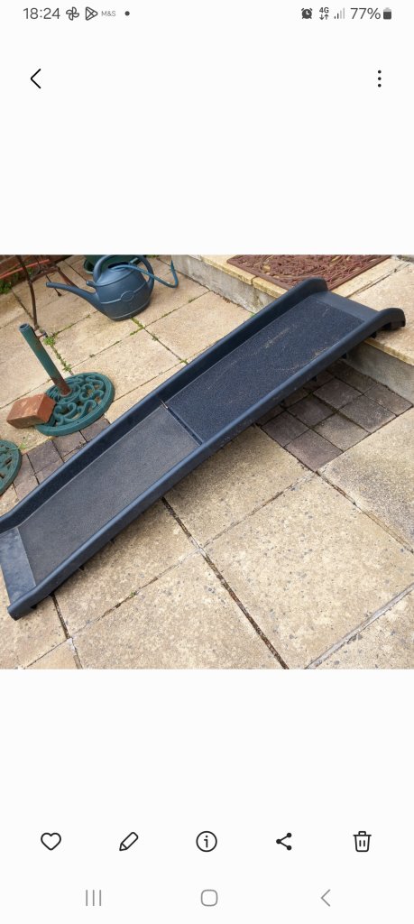 Dog car ramp 