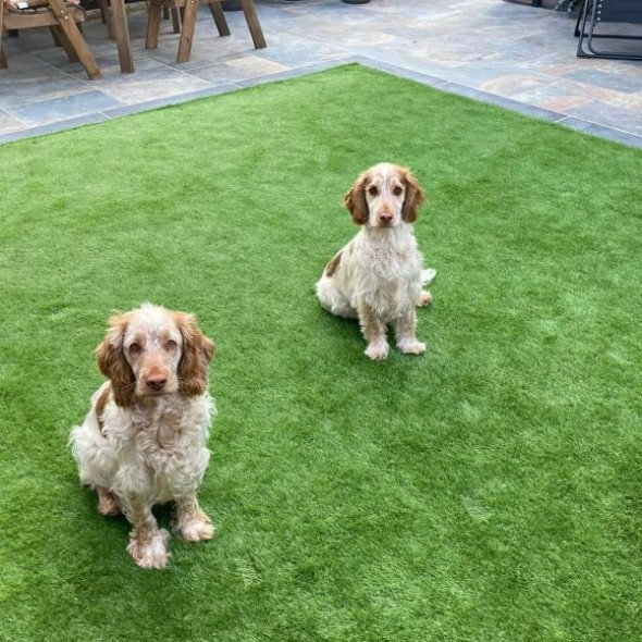 Artificial Grass clearance sale!! From £9.49 Full range in stock 2/4/5M widths  Pet friendly