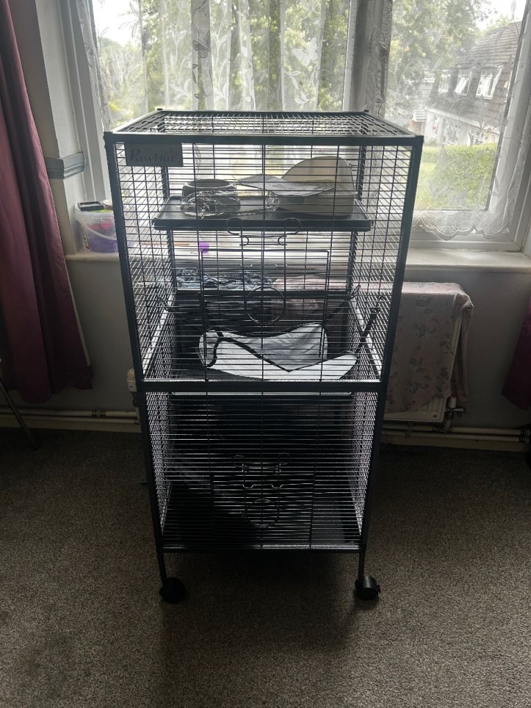 Rodent cage