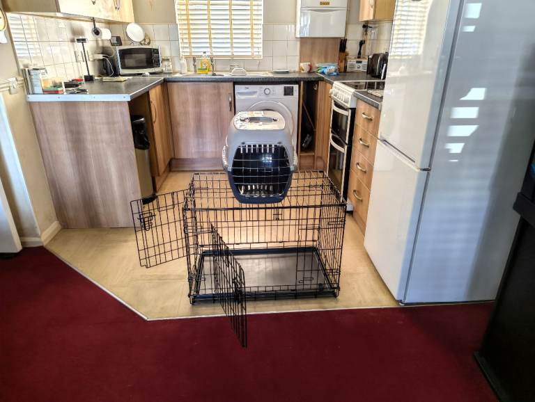 Dog crate 