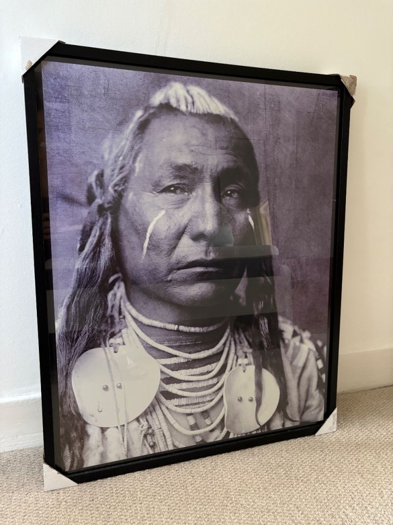 Large Framed Native American Portrait – New Condition