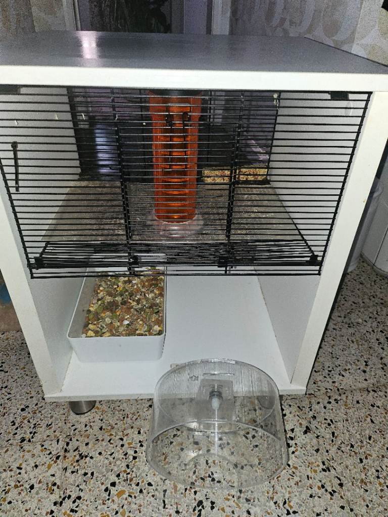 Hamster cage